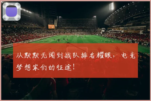 从默默无闻到战队排名耀眼，电竞梦想家们的征途！